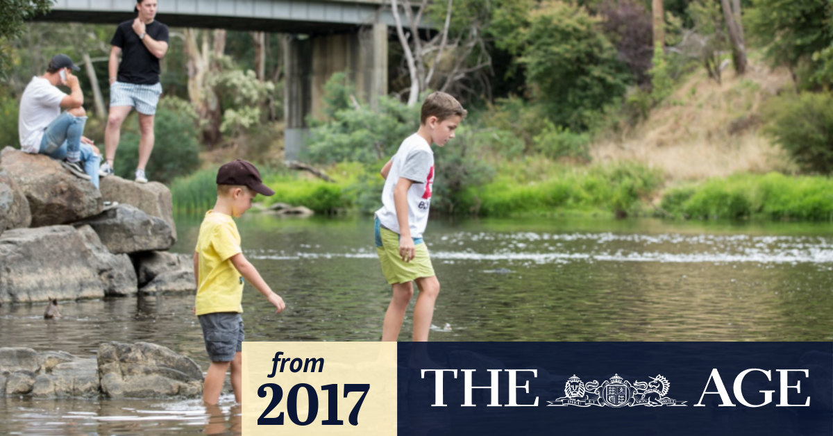 The best place to swim in the Yarra River? There's a clear winner